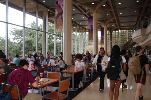 tiger lair with students