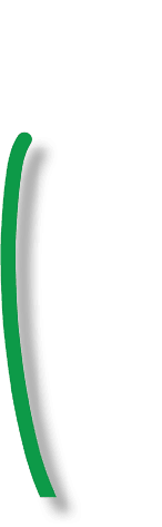 stem 2