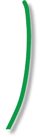 stem 1