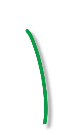 stem 6