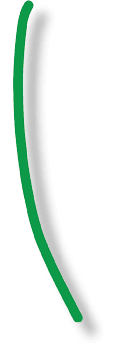 stem 5