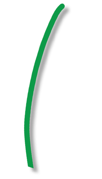 tem 7