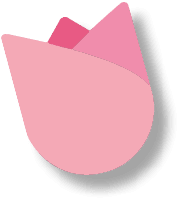 tulip