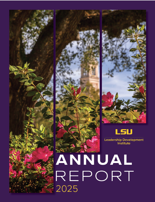 LDI annual Report