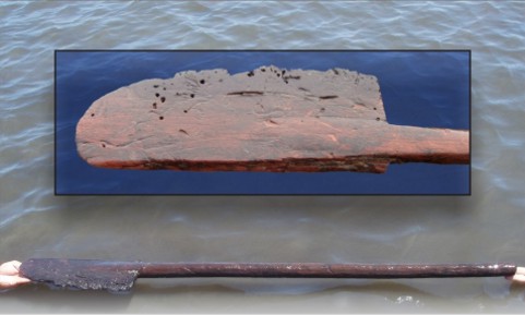 Mayan paddle Mayan paddle discovered in Belize