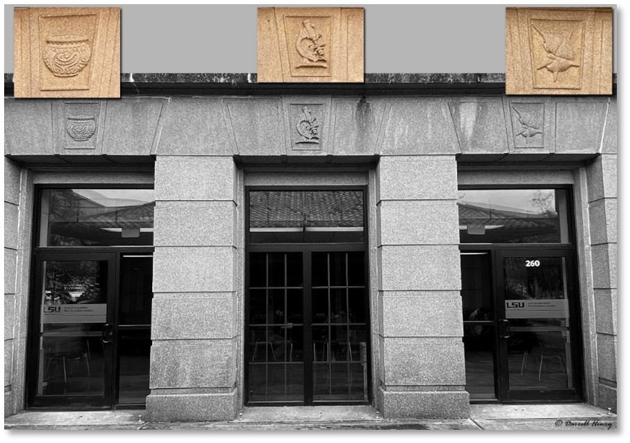 west front doors