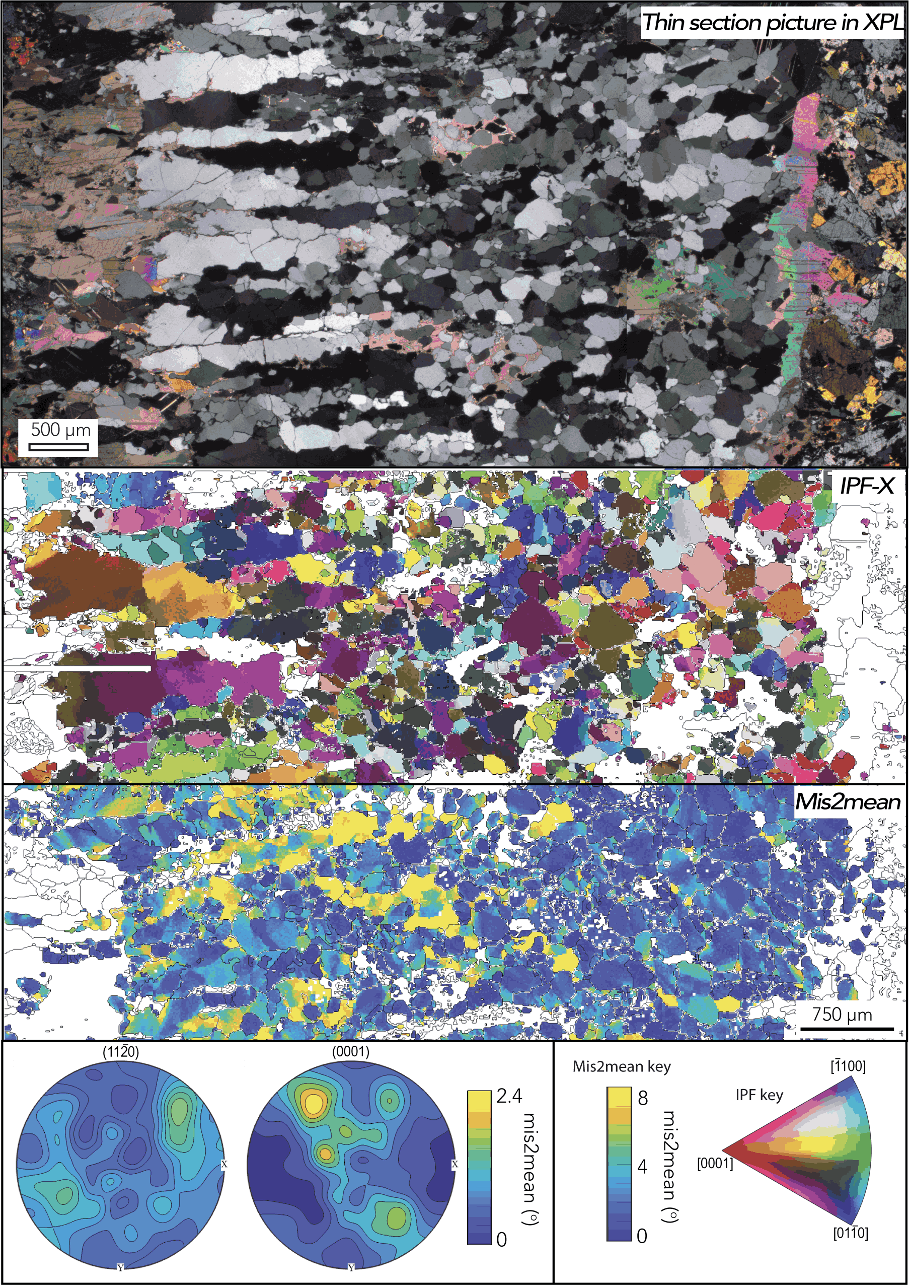 EBSD Data Images