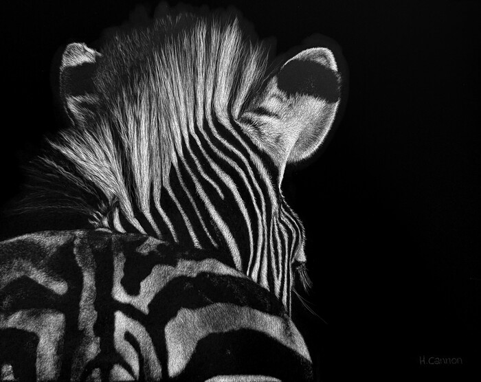 At Rest zebra