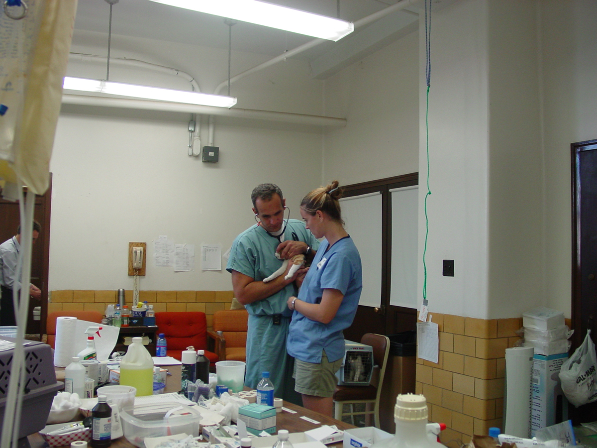 triage